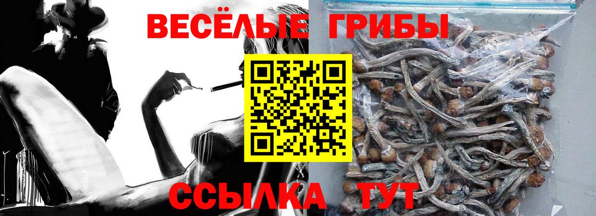 Галлюциногенные грибы ЛСД Москва