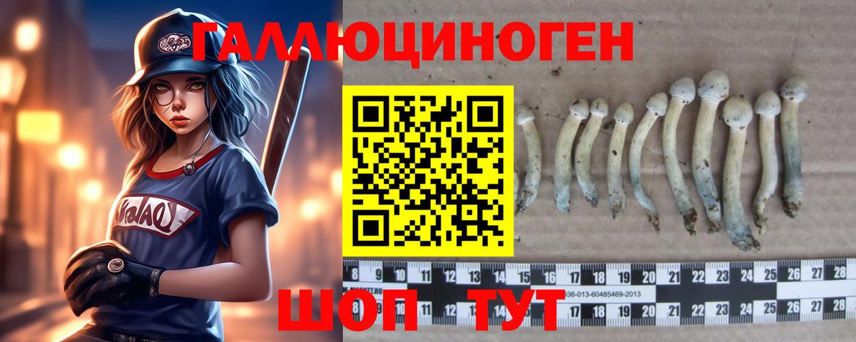Псилоцибиновые грибы Magic Shrooms  Вход с VPN  Москва 